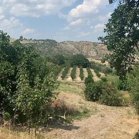 Alloggio per agriturismo Agriturismo Masseria Farina